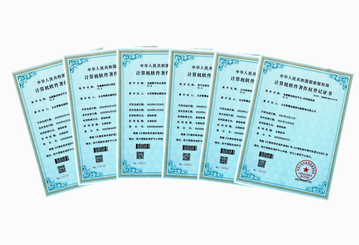 6项软件著作权.png